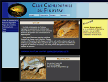 Tablet Screenshot of cichlides-ccf.fr